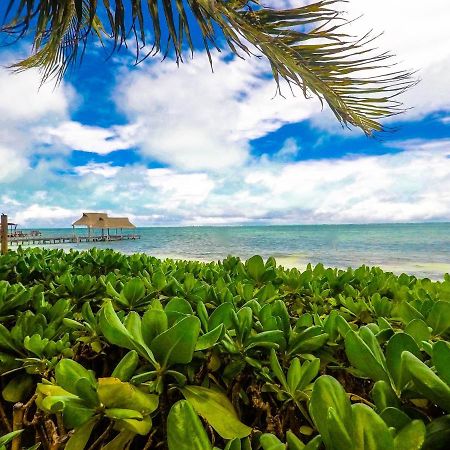 Punta Me Beach Suites 坎昆 外观 照片
