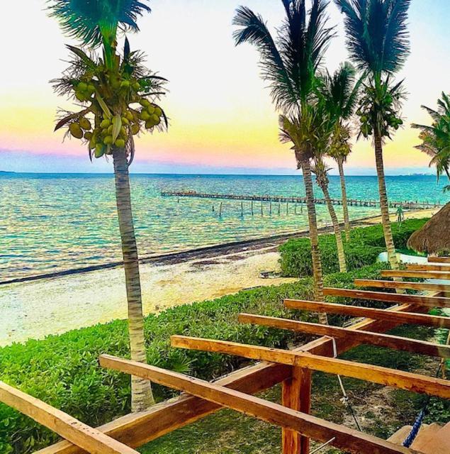 Punta Me Beach Suites 坎昆 外观 照片