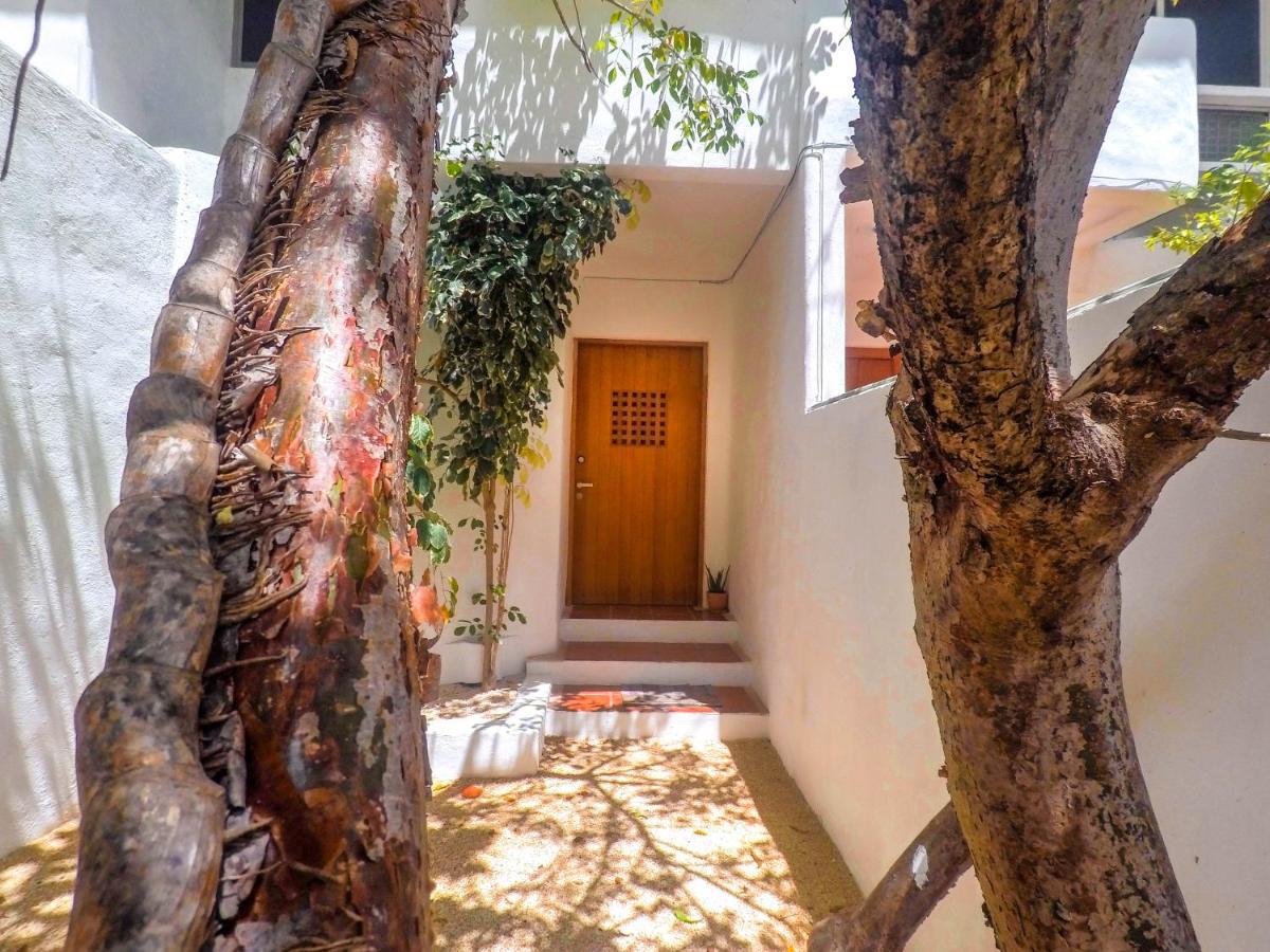 Punta Me Beach Suites 坎昆 外观 照片