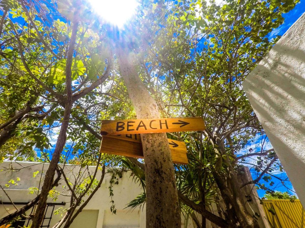 Punta Me Beach Suites 坎昆 外观 照片