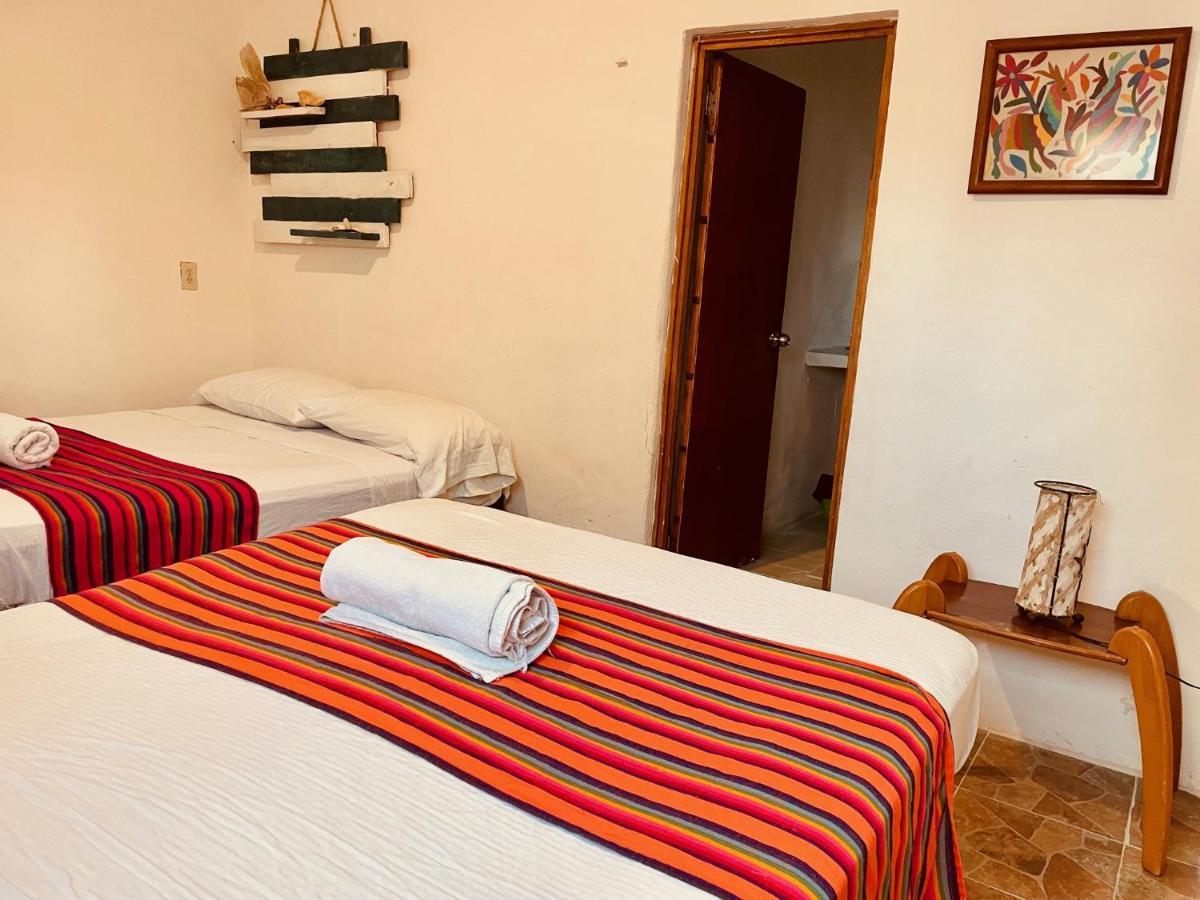 Punta Me Beach Suites 坎昆 外观 照片
